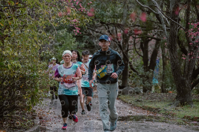 2026左岸竹東櫻花馬拉松Zhudong Sakura Marathon
