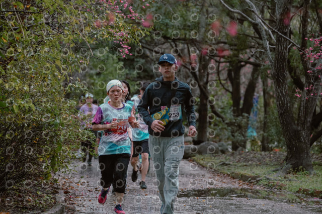 2026左岸竹東櫻花馬拉松Zhudong Sakura Marathon