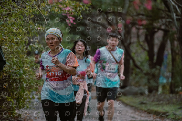 2026左岸竹東櫻花馬拉松Zhudong Sakura Marathon
