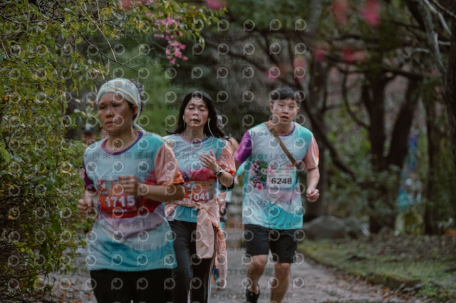 2026左岸竹東櫻花馬拉松Zhudong Sakura Marathon