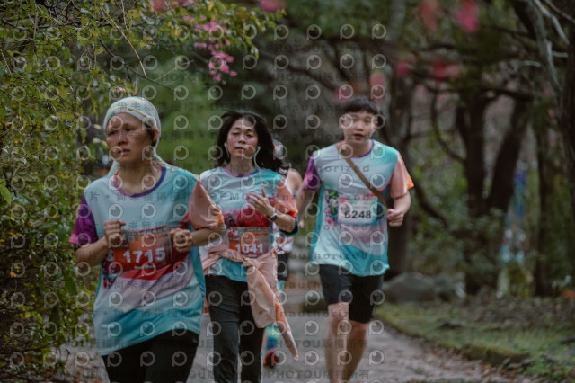2026左岸竹東櫻花馬拉松Zhudong Sakura Marathon