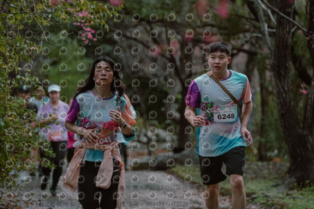 2026左岸竹東櫻花馬拉松Zhudong Sakura Marathon