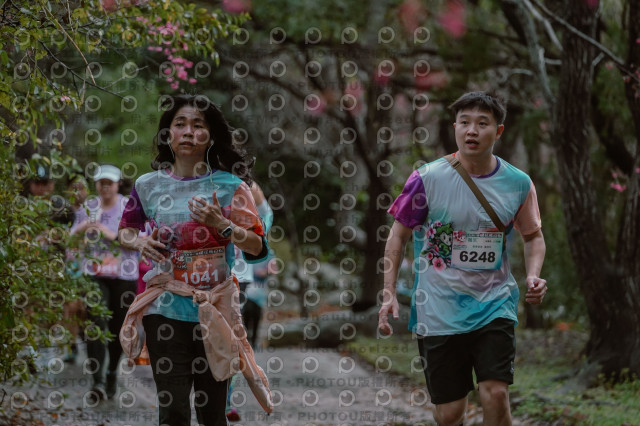 2026左岸竹東櫻花馬拉松Zhudong Sakura Marathon