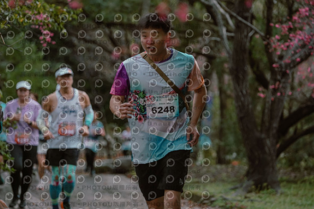 2026左岸竹東櫻花馬拉松Zhudong Sakura Marathon