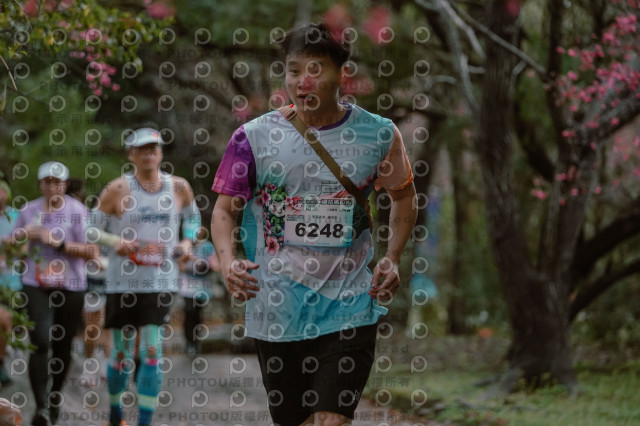 2026左岸竹東櫻花馬拉松Zhudong Sakura Marathon