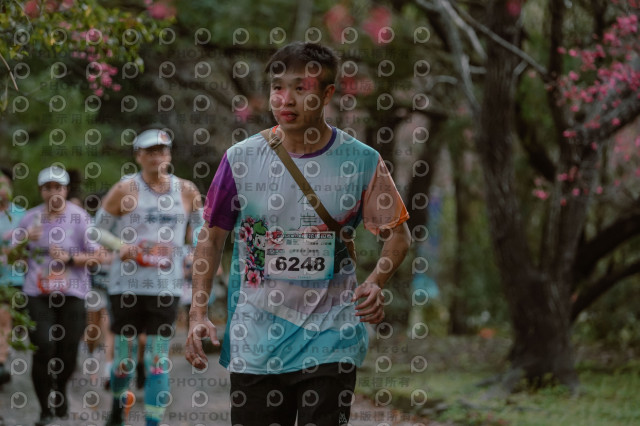 2026左岸竹東櫻花馬拉松Zhudong Sakura Marathon