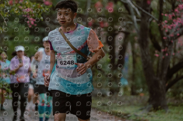2026左岸竹東櫻花馬拉松Zhudong Sakura Marathon