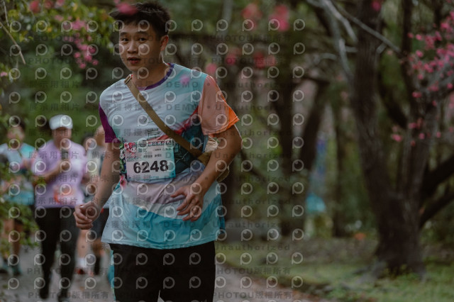 2026左岸竹東櫻花馬拉松Zhudong Sakura Marathon
