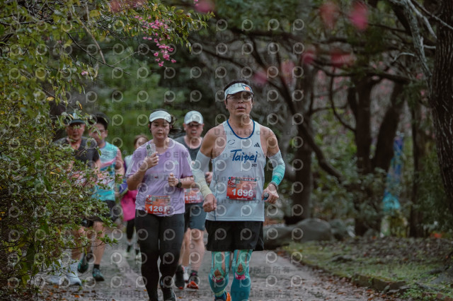 2026左岸竹東櫻花馬拉松Zhudong Sakura Marathon