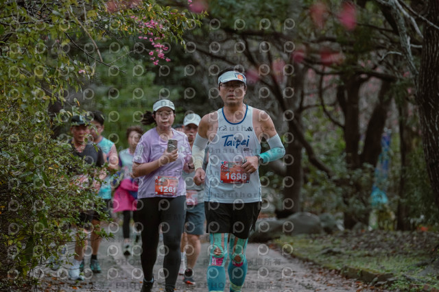 2026左岸竹東櫻花馬拉松Zhudong Sakura Marathon