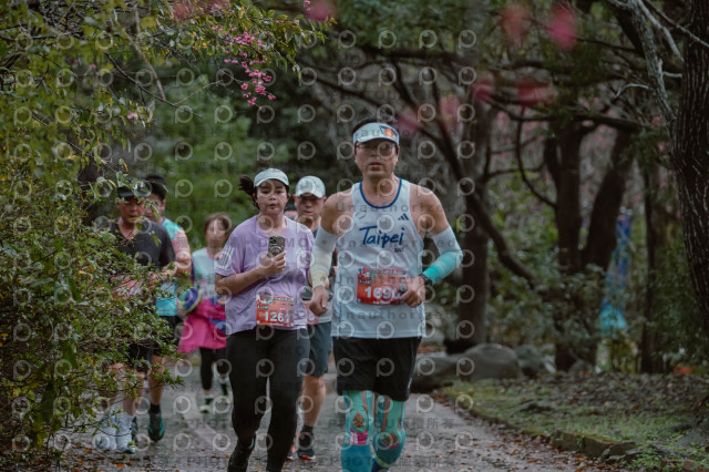 2026左岸竹東櫻花馬拉松Zhudong Sakura Marathon
