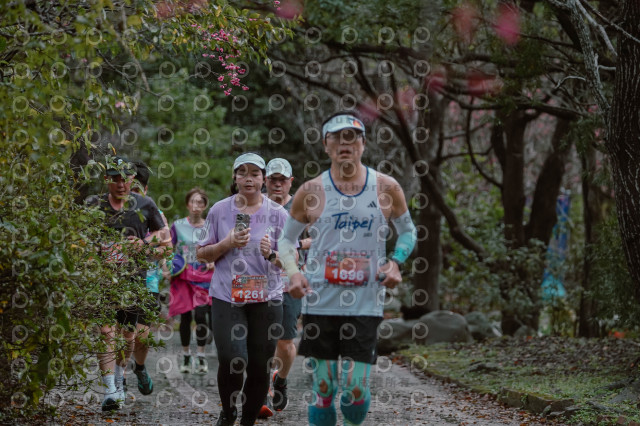 2026左岸竹東櫻花馬拉松Zhudong Sakura Marathon
