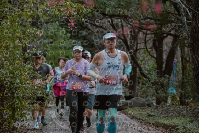 2026左岸竹東櫻花馬拉松Zhudong Sakura Marathon