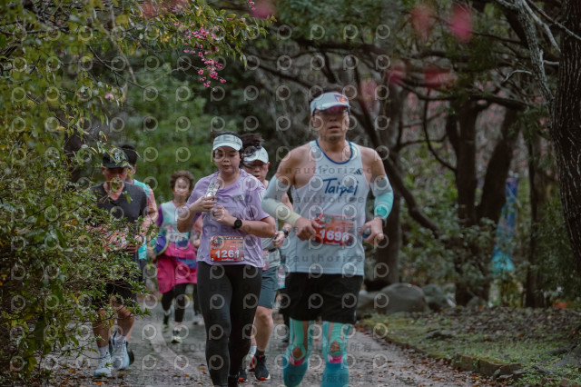 2026左岸竹東櫻花馬拉松Zhudong Sakura Marathon