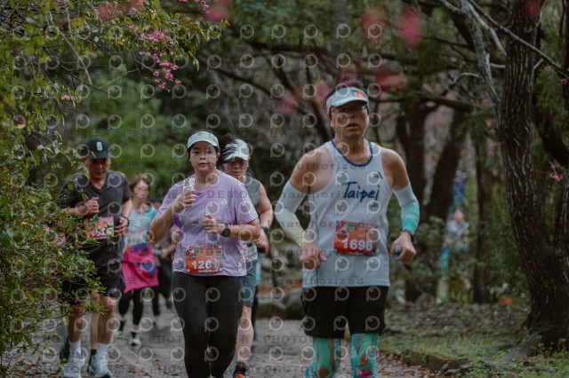 2026左岸竹東櫻花馬拉松Zhudong Sakura Marathon