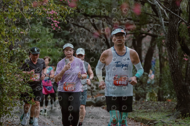 2026左岸竹東櫻花馬拉松Zhudong Sakura Marathon