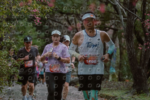 2026左岸竹東櫻花馬拉松Zhudong Sakura Marathon