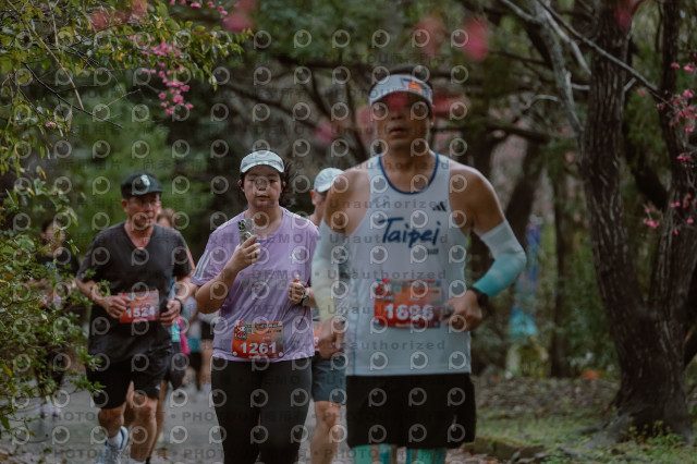2026左岸竹東櫻花馬拉松Zhudong Sakura Marathon