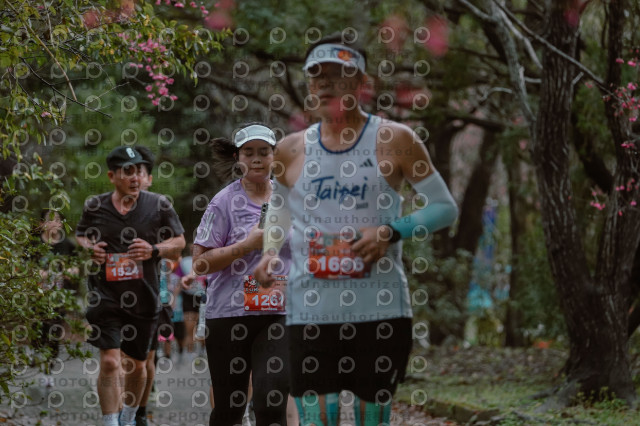 2026左岸竹東櫻花馬拉松Zhudong Sakura Marathon