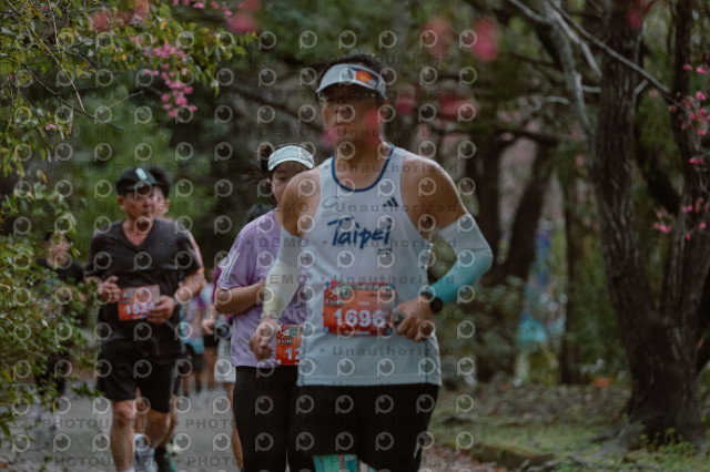 2026左岸竹東櫻花馬拉松Zhudong Sakura Marathon