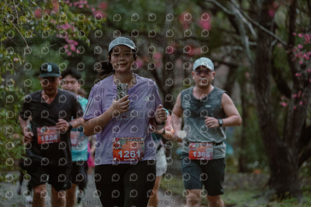 2026左岸竹東櫻花馬拉松Zhudong Sakura Marathon