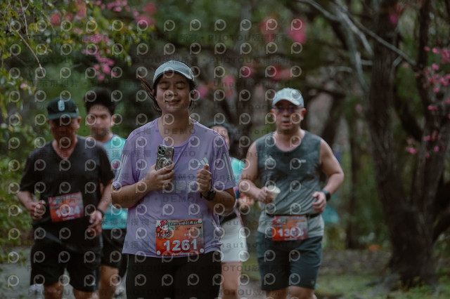 2026左岸竹東櫻花馬拉松Zhudong Sakura Marathon