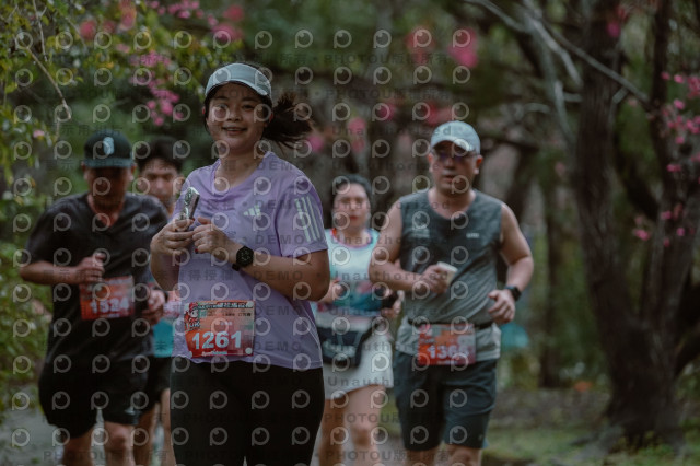 2026左岸竹東櫻花馬拉松Zhudong Sakura Marathon