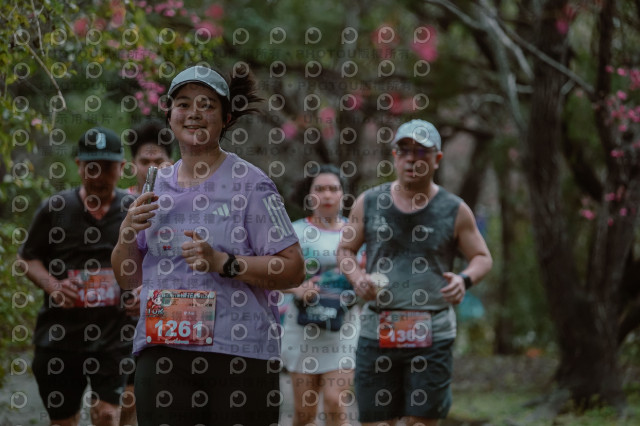 2026左岸竹東櫻花馬拉松Zhudong Sakura Marathon