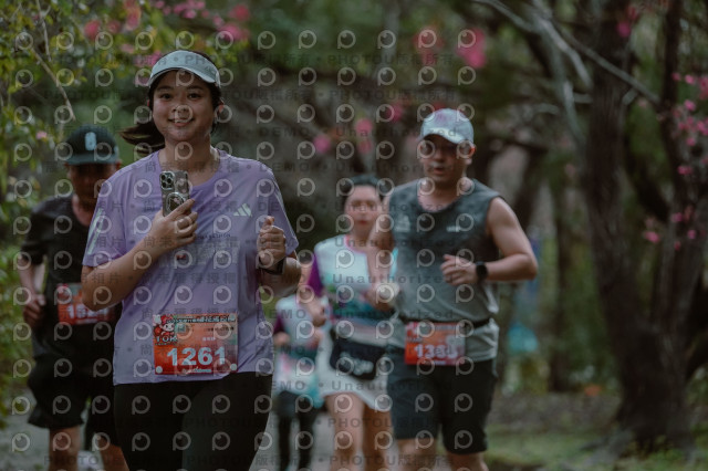 2026左岸竹東櫻花馬拉松Zhudong Sakura Marathon