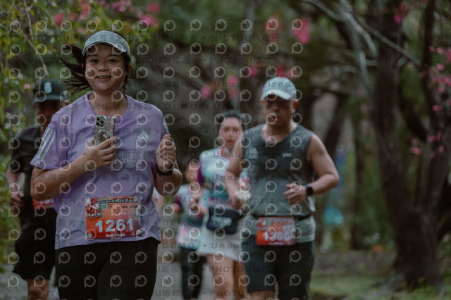 2026左岸竹東櫻花馬拉松Zhudong Sakura Marathon