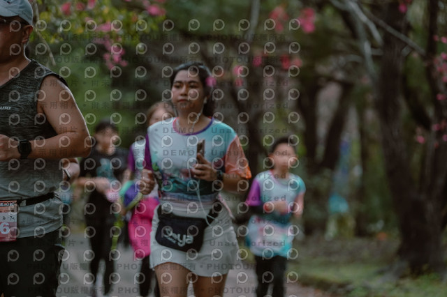2026左岸竹東櫻花馬拉松Zhudong Sakura Marathon