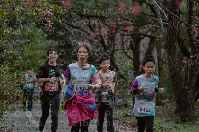 2026左岸竹東櫻花馬拉松Zhudong Sakura Marathon