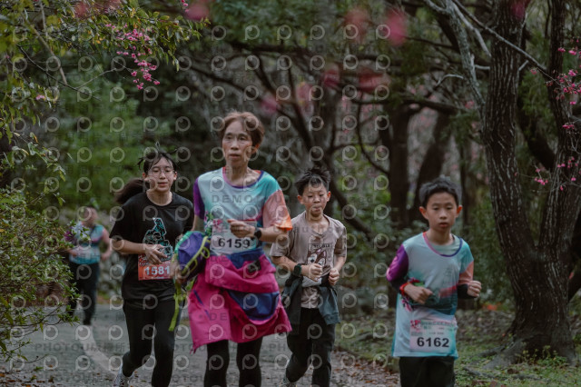 2026左岸竹東櫻花馬拉松Zhudong Sakura Marathon