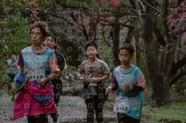 2026左岸竹東櫻花馬拉松Zhudong Sakura Marathon