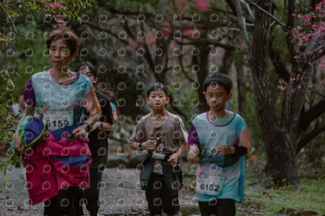 2026左岸竹東櫻花馬拉松Zhudong Sakura Marathon