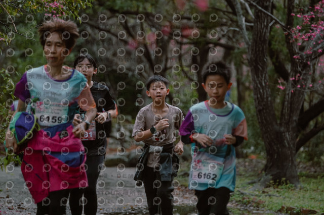 2026左岸竹東櫻花馬拉松Zhudong Sakura Marathon