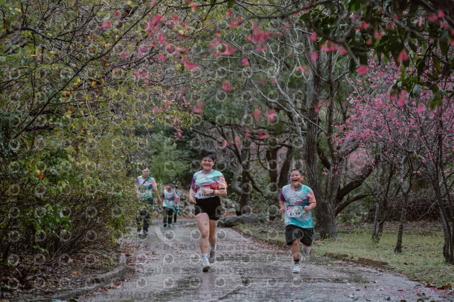 2026左岸竹東櫻花馬拉松Zhudong Sakura Marathon