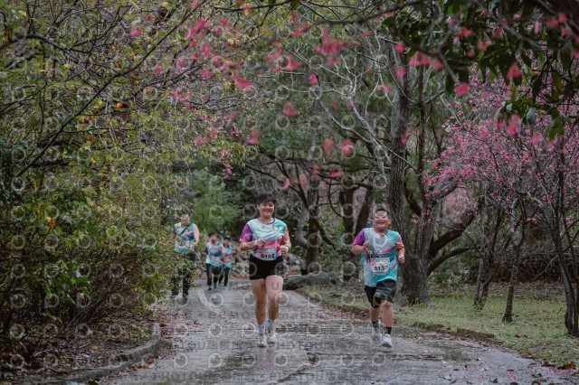 2026左岸竹東櫻花馬拉松Zhudong Sakura Marathon