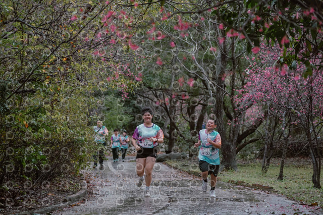 2026左岸竹東櫻花馬拉松Zhudong Sakura Marathon