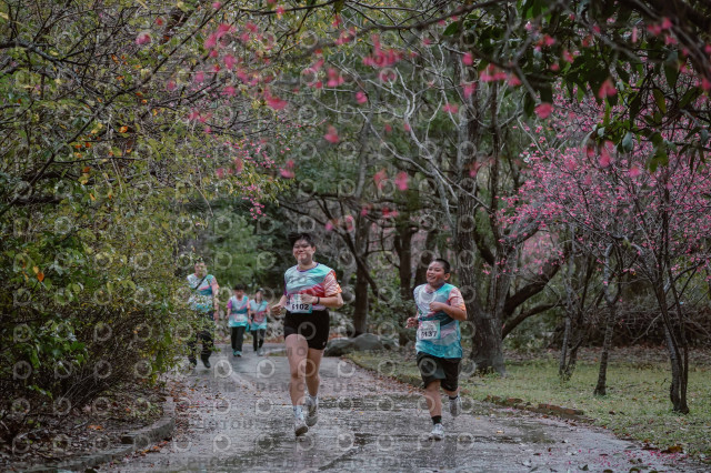 2026左岸竹東櫻花馬拉松Zhudong Sakura Marathon