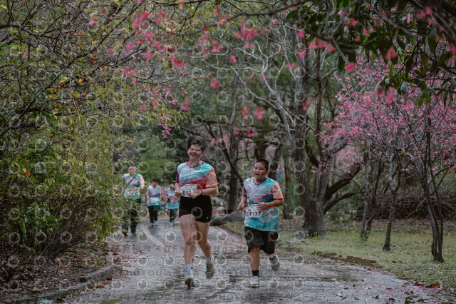 2026左岸竹東櫻花馬拉松Zhudong Sakura Marathon