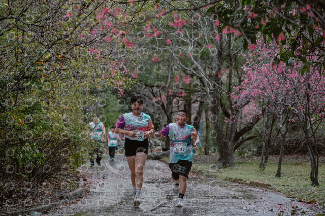 2026左岸竹東櫻花馬拉松Zhudong Sakura Marathon