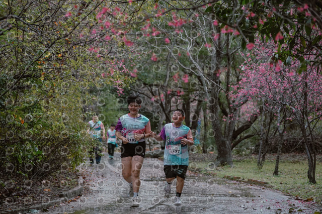 2026左岸竹東櫻花馬拉松Zhudong Sakura Marathon
