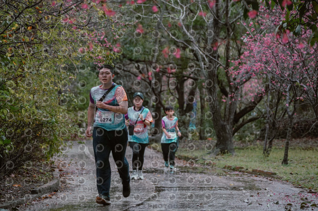 2026左岸竹東櫻花馬拉松Zhudong Sakura Marathon