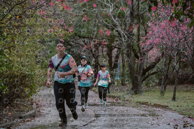 2026左岸竹東櫻花馬拉松Zhudong Sakura Marathon