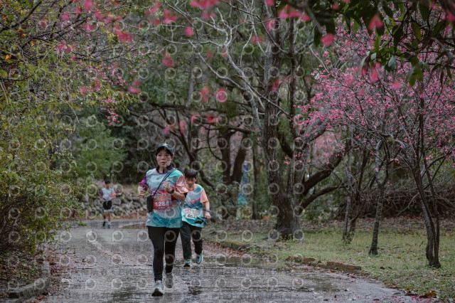 2026左岸竹東櫻花馬拉松Zhudong Sakura Marathon