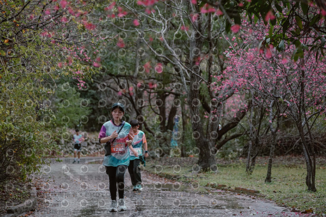 2026左岸竹東櫻花馬拉松Zhudong Sakura Marathon