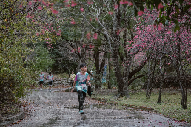 2026左岸竹東櫻花馬拉松Zhudong Sakura Marathon