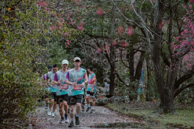 2026左岸竹東櫻花馬拉松Zhudong Sakura Marathon
