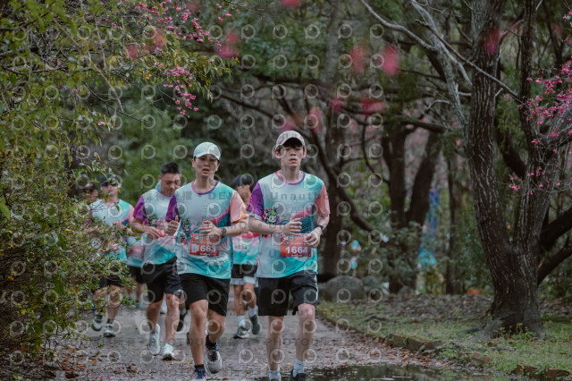 2026左岸竹東櫻花馬拉松Zhudong Sakura Marathon